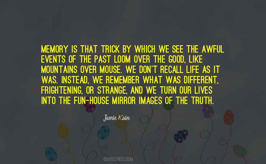 Mirror Of Life Quotes #48502