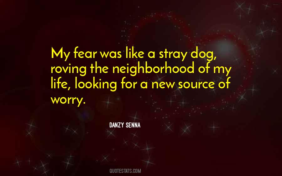Quotes About Senna #274042