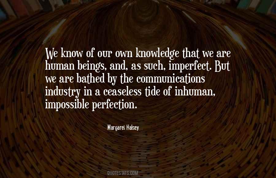 Human Perfection Quotes #1087089