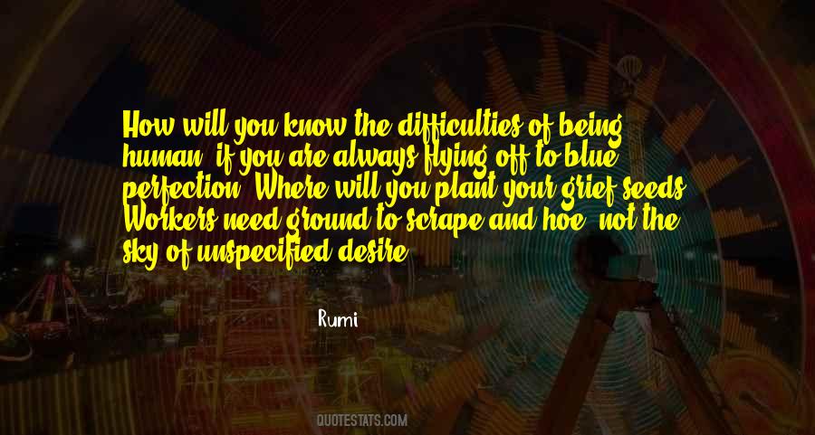 Human Perfection Quotes #1150822