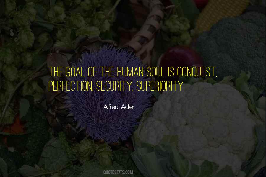 Human Perfection Quotes #1186896
