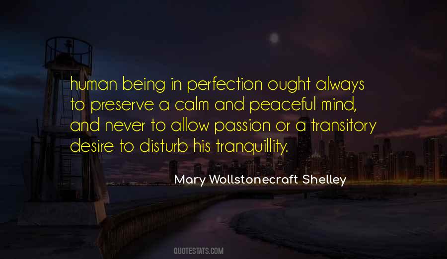 Human Perfection Quotes #1331972