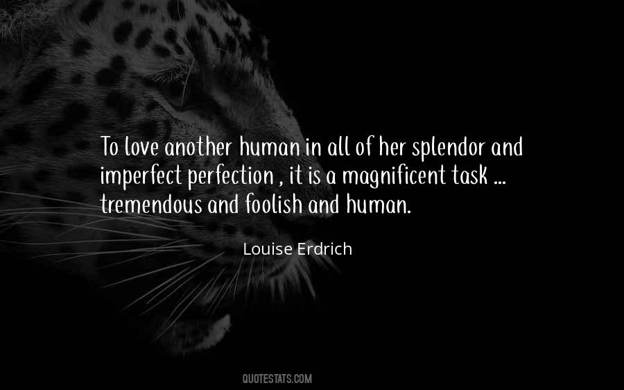 Human Perfection Quotes #1455339