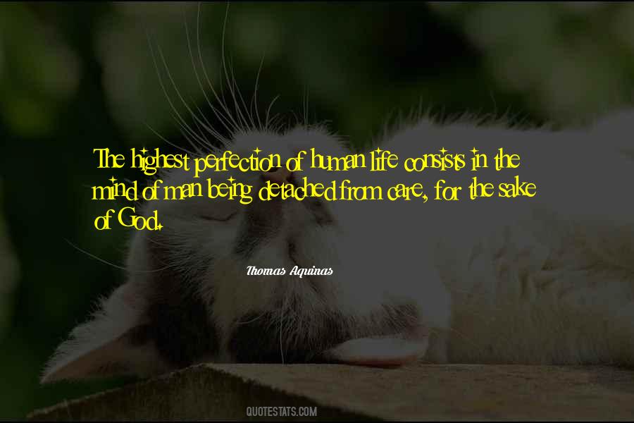 Human Perfection Quotes #415750