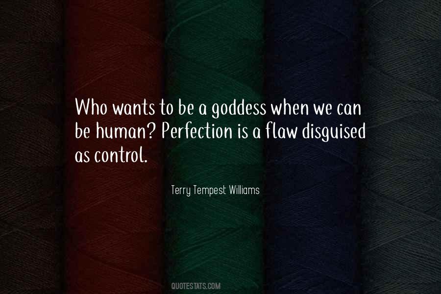 Human Perfection Quotes #525577