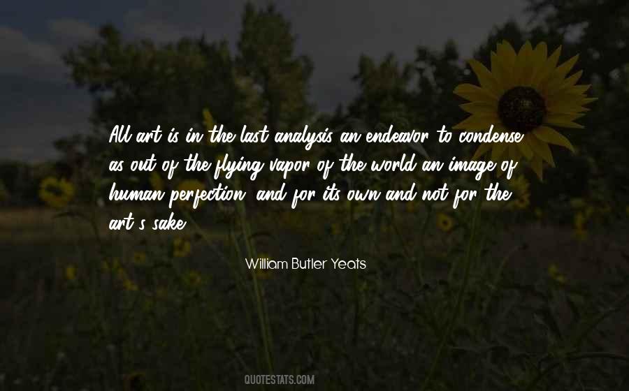 Human Perfection Quotes #853993