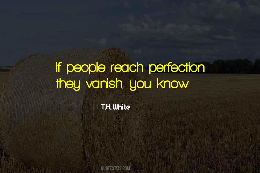 Human Perfection Quotes #92840