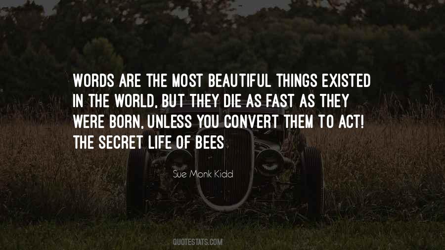 Quotes About The Most Beautiful Things In Life #976221