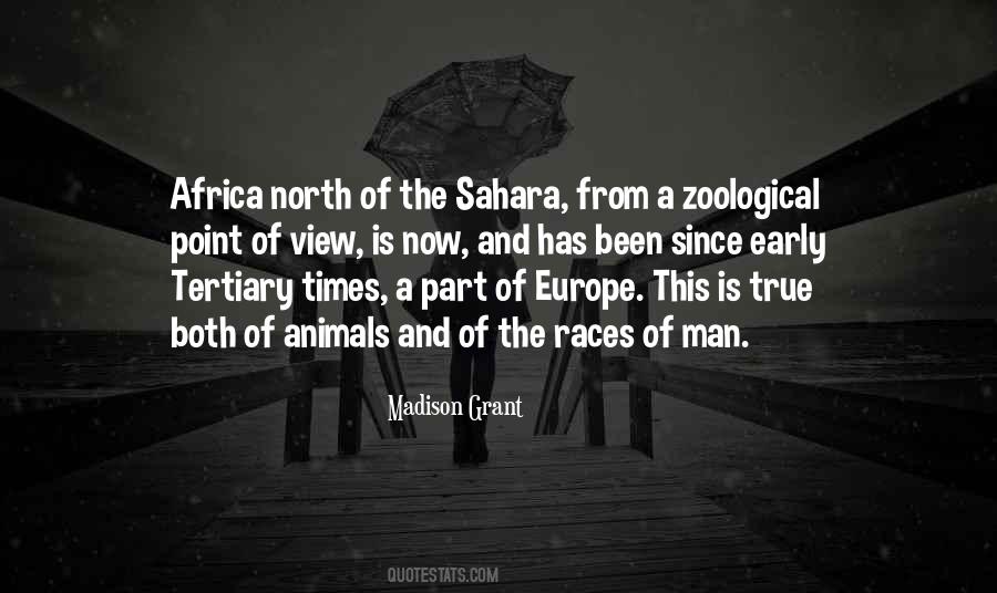 Quotes About Sahara #1604859