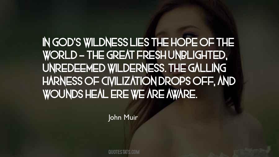 Where Hope Lies Quotes #337362