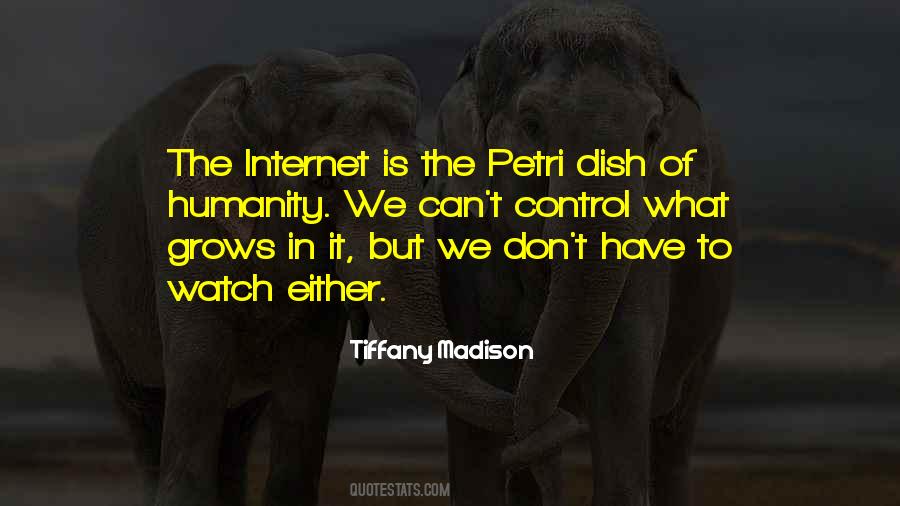 Quotes About The Internet And Technology #701363