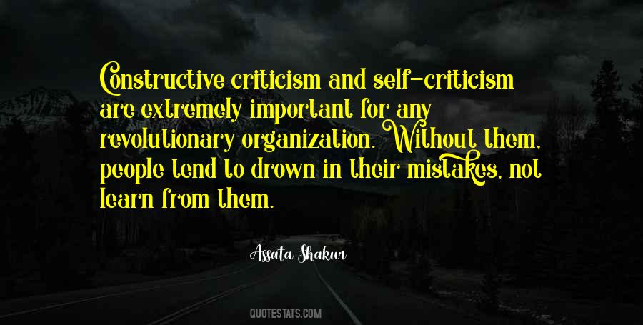 Non Constructive Criticism Quotes #340319