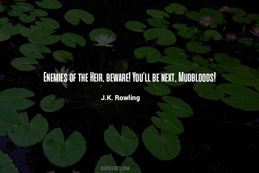 Quotes About Mudbloods #1388224