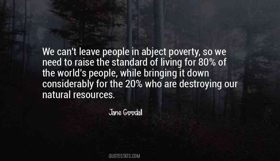 Quotes About Standard Of Living #1116835