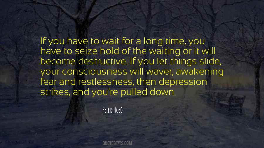 Quotes About Waiting A Long Time #392411