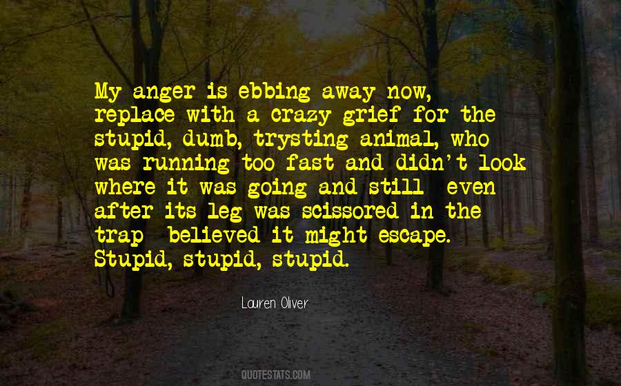 Quotes About Anger And Grief #933693