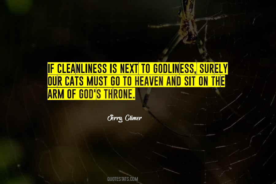 Quotes About Cleanliness Is Next To Godliness #342870
