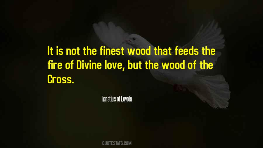 Quotes About St. Ignatius #282668
