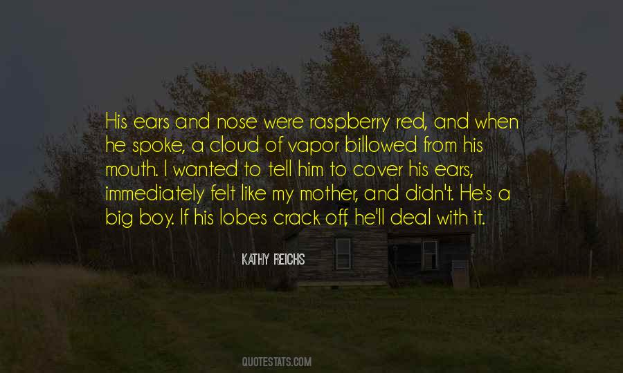 Small Town Newspaper Reporter Quotes #1065381