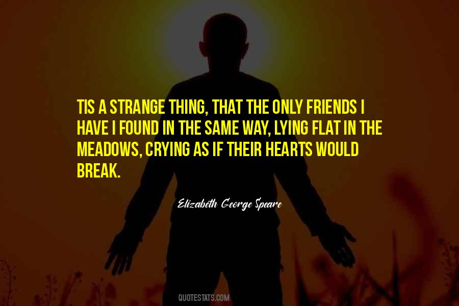 Quotes About Strange Friends #1765769