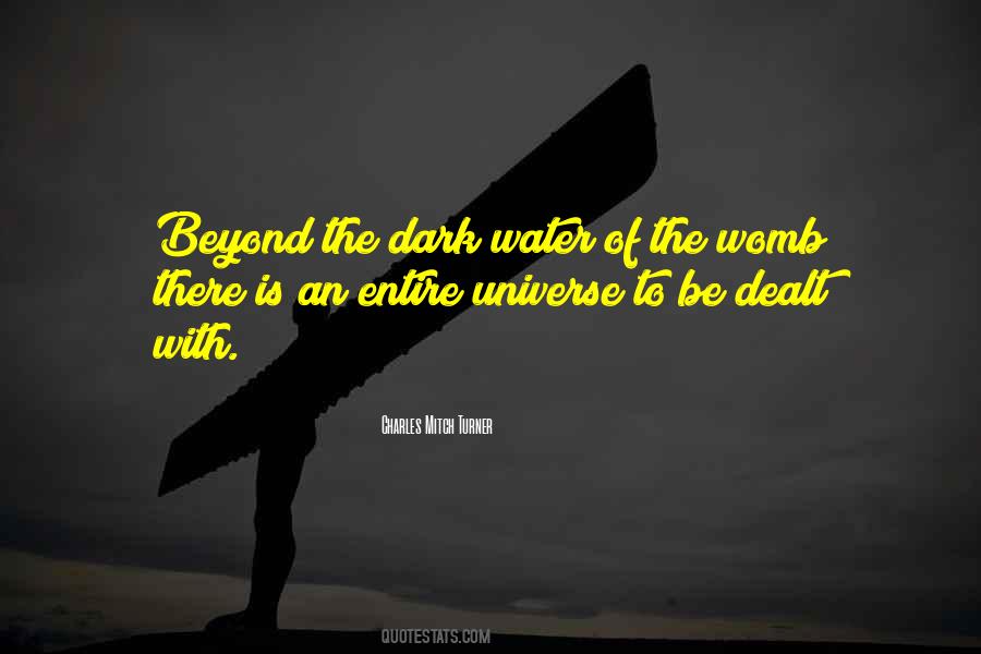 Dark Universe Quotes #1186311