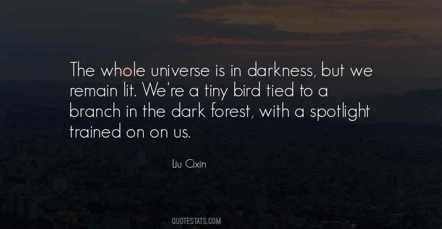 Dark Universe Quotes #1221106