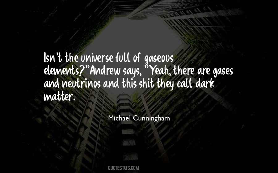 Dark Universe Quotes #1527628