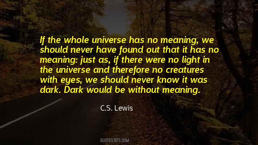 Dark Universe Quotes #163623