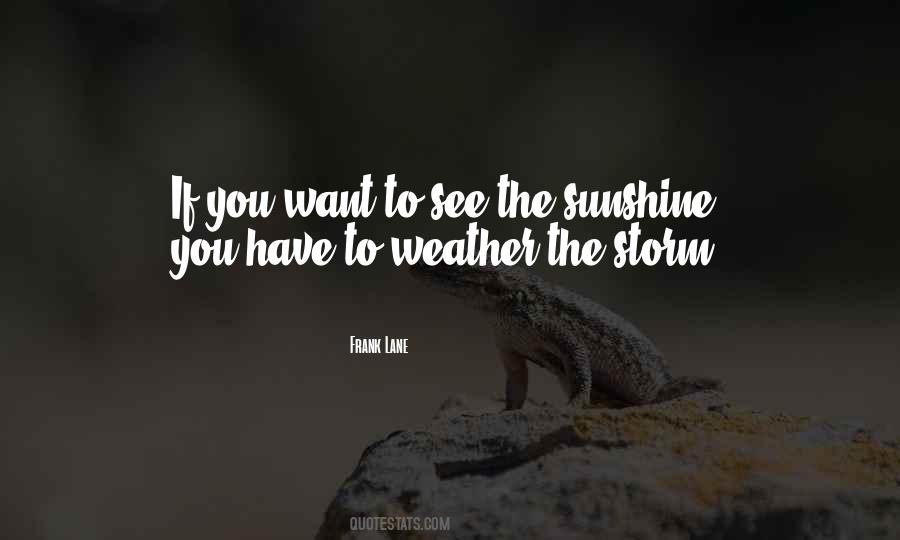 Quotes About Weather The Storm #1168092