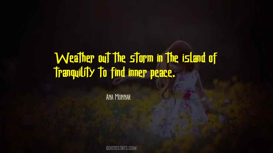 Quotes About Weather The Storm #422547