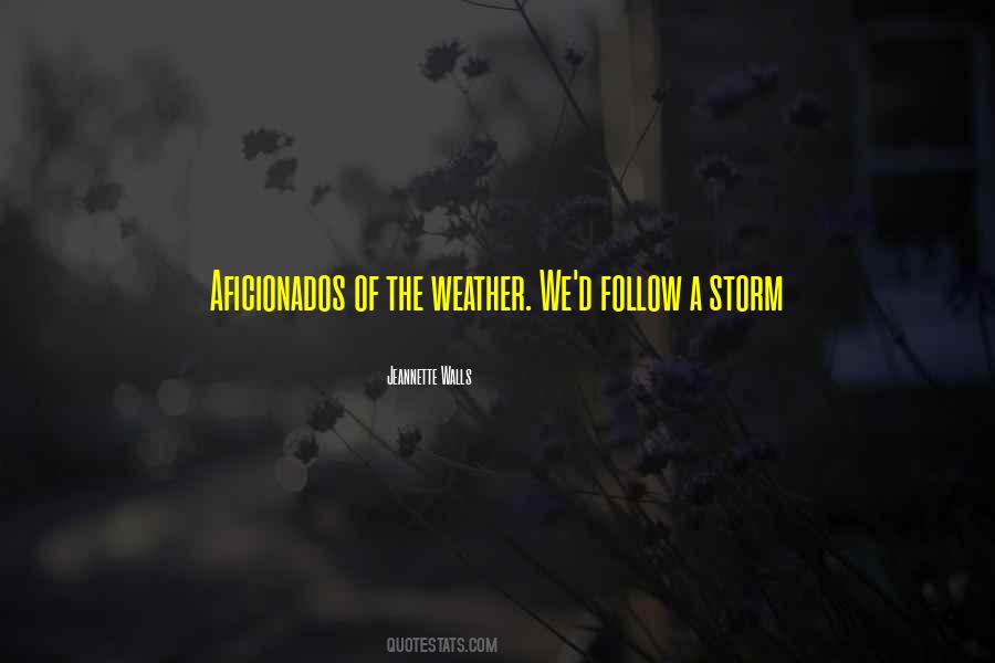 Quotes About Weather The Storm #723797
