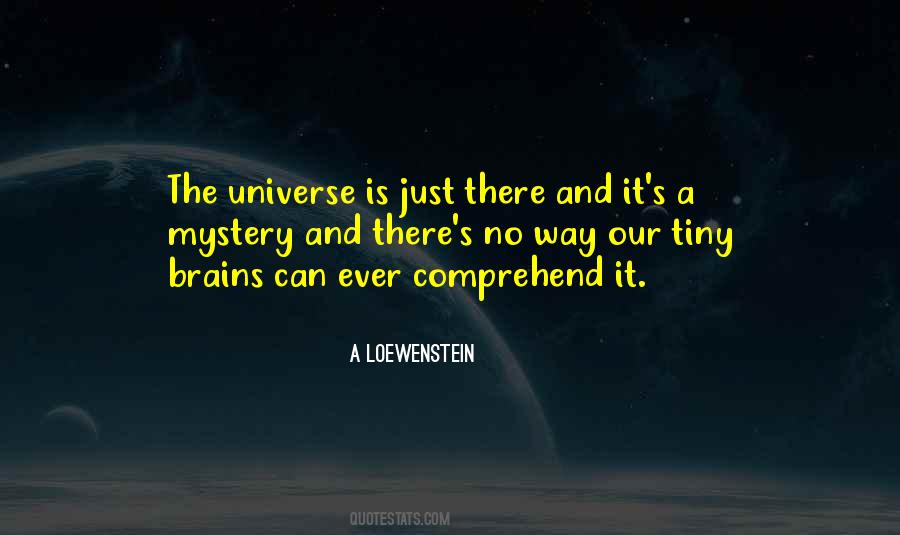 Universe Mystery Quotes #1234475