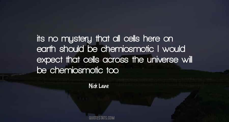 Universe Mystery Quotes #721116