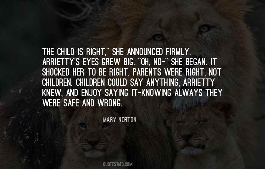 Quotes About A Child's Eyes #506894