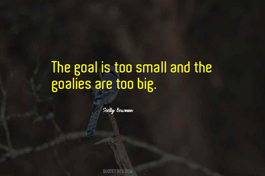 Quotes About Goalies #1732370