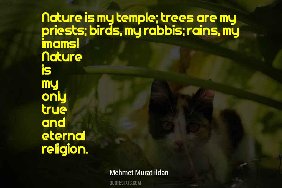 Quotes About Nature Birds #1130797