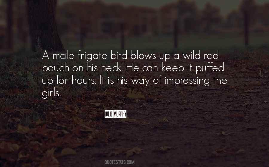 Quotes About Nature Birds #209534