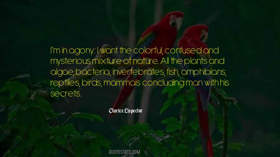 Quotes About Nature Birds #235459