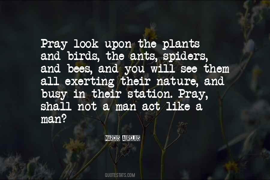 Quotes About Nature Birds #494924