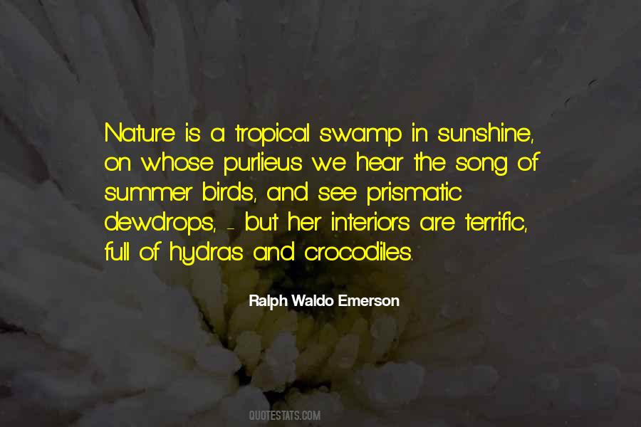 Quotes About Nature Birds #516409