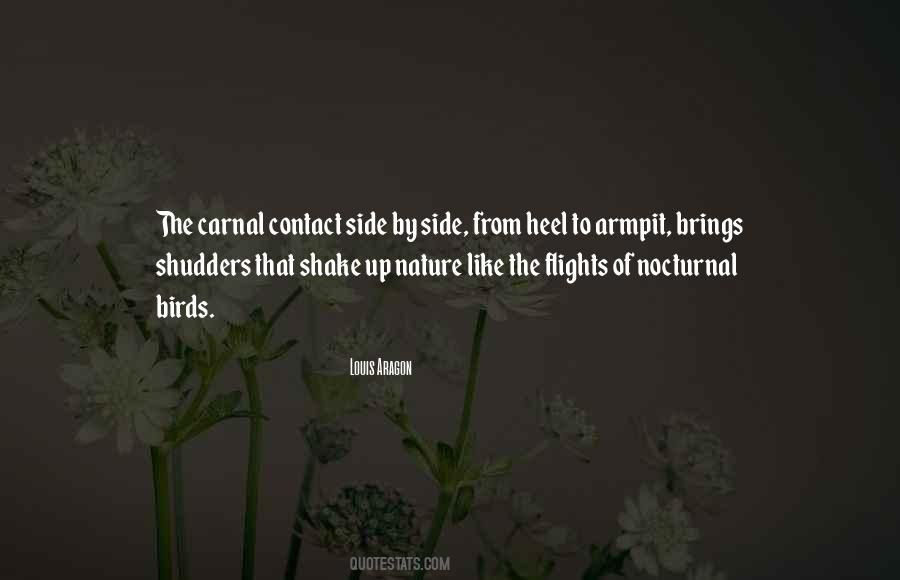 Quotes About Nature Birds #867658