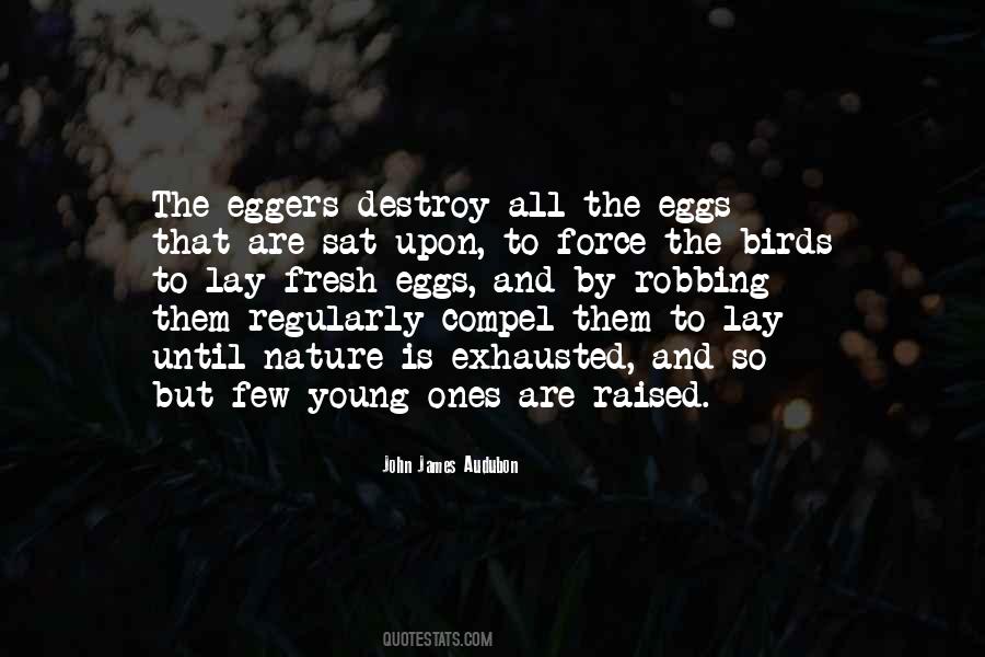 Quotes About Nature Birds #977862
