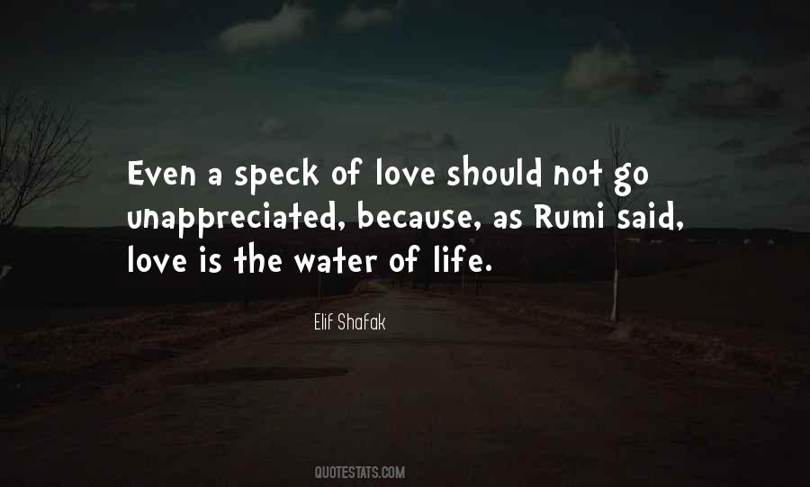 Quotes About Self Love Rumi #30136