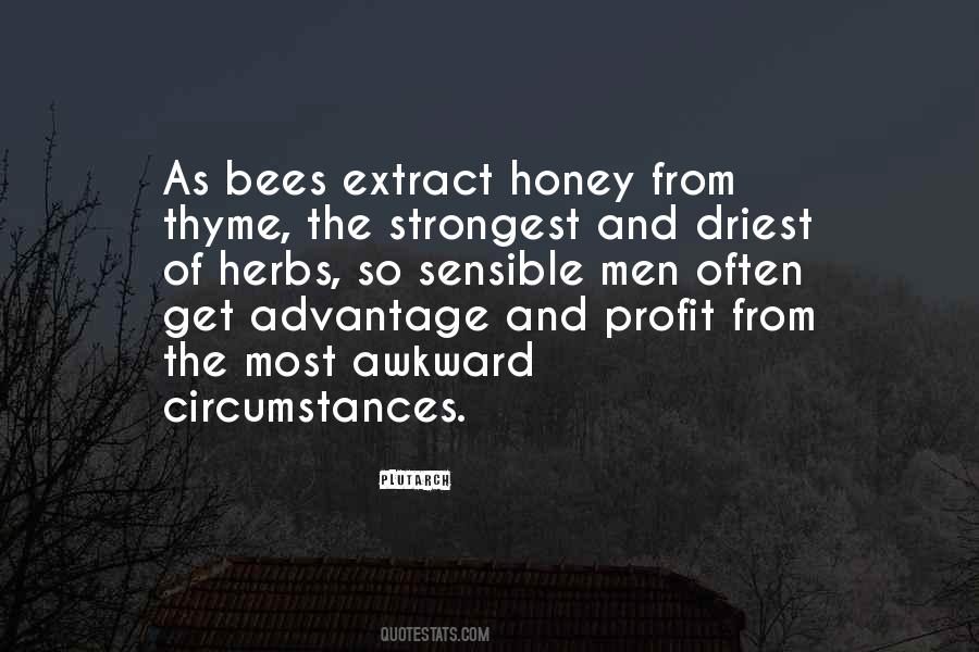 Quotes About Honey Bees #1595626