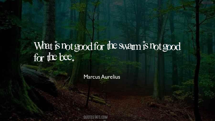 Quotes About Honey Bees #616868