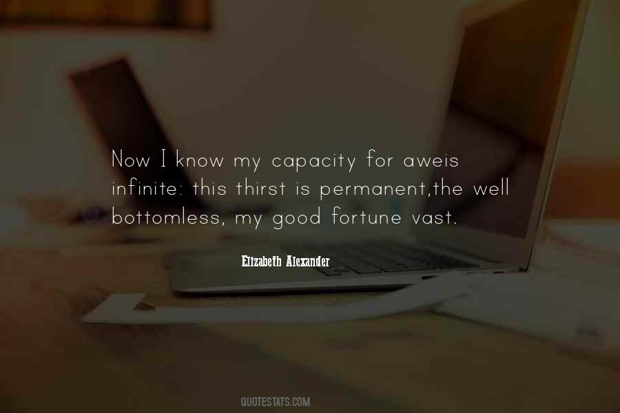 Quotes About Capacity #10352