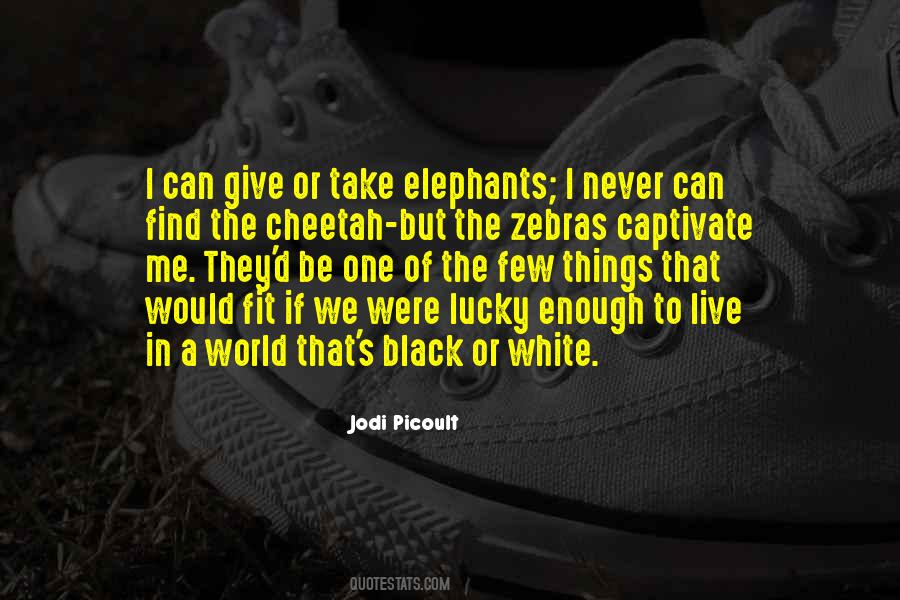 Quotes About Zebras #217644