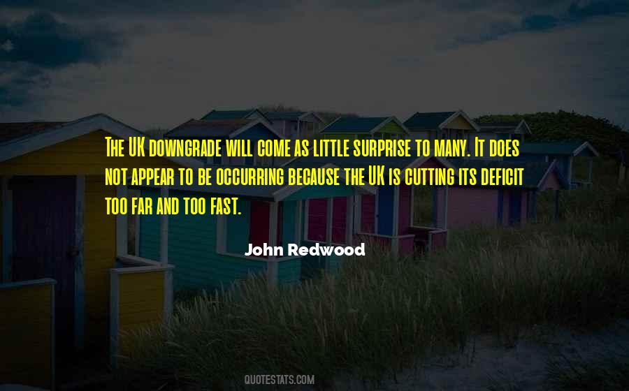 Quotes About A Downgrade #1424896