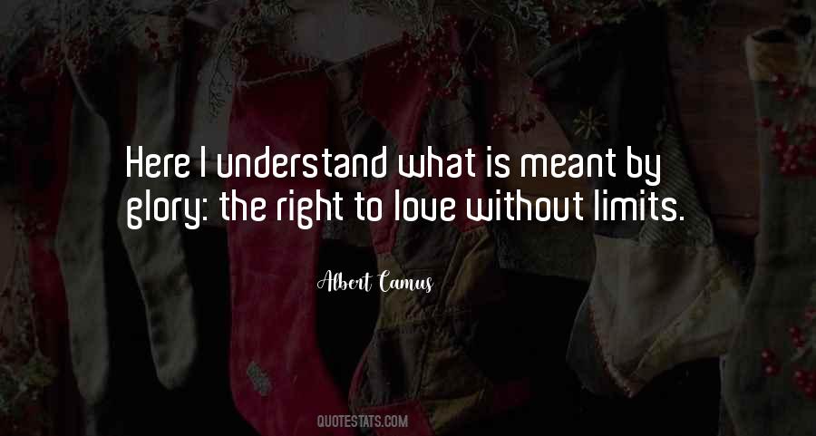 Quotes About Love Without Limits #96536
