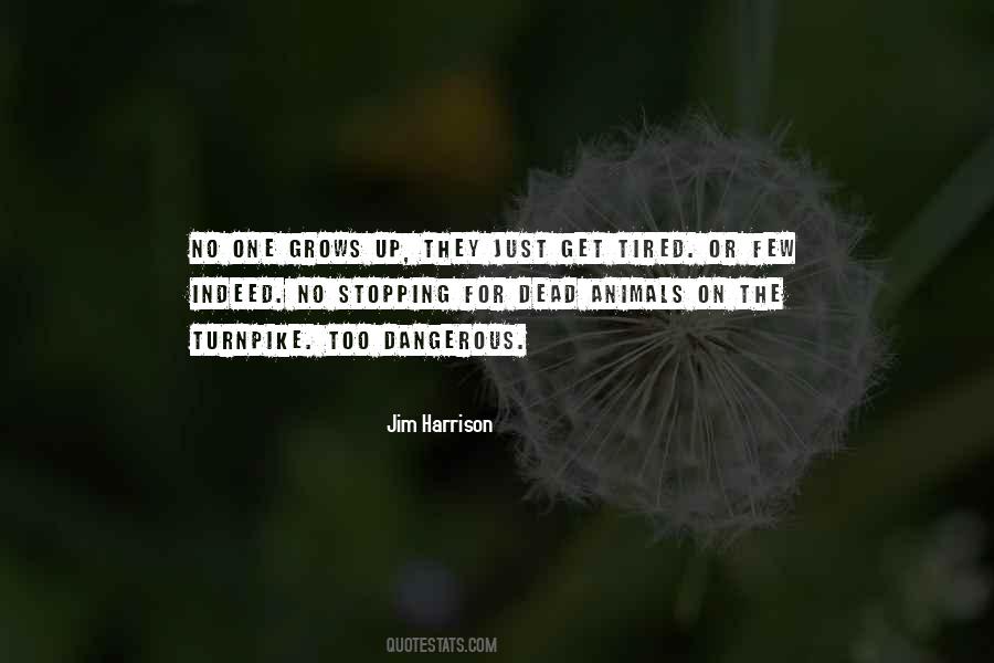 Fifteen Minute Quotes #584168
